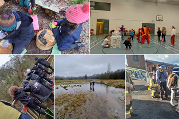 Collage Maker Project