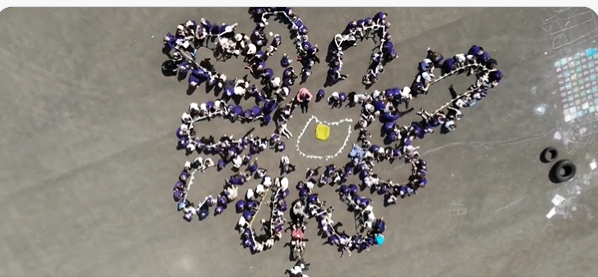 Pupils form outline of a daisy 